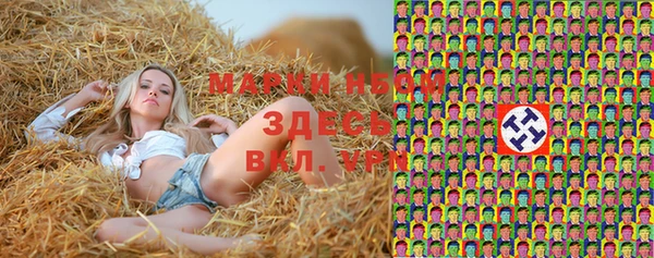 гашик Балахна