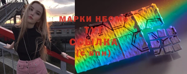 индика Горнозаводск